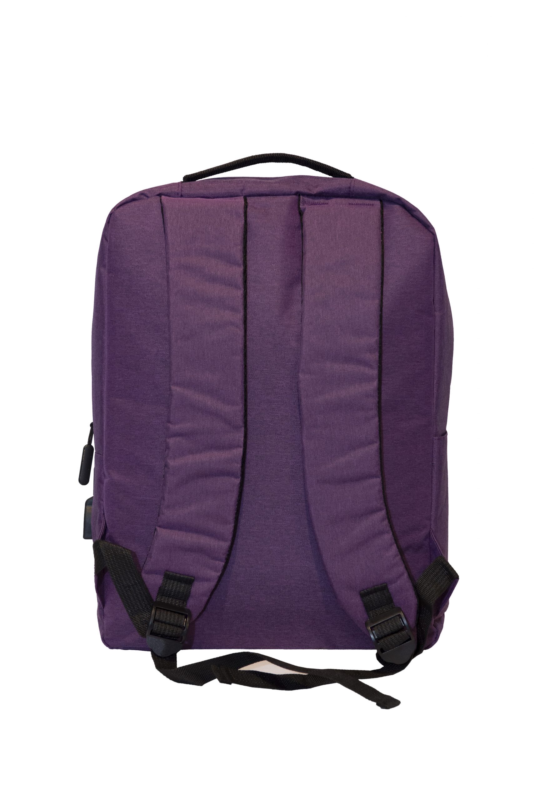Custom Laptop Backpack Printing_LT19_BACK VIEW